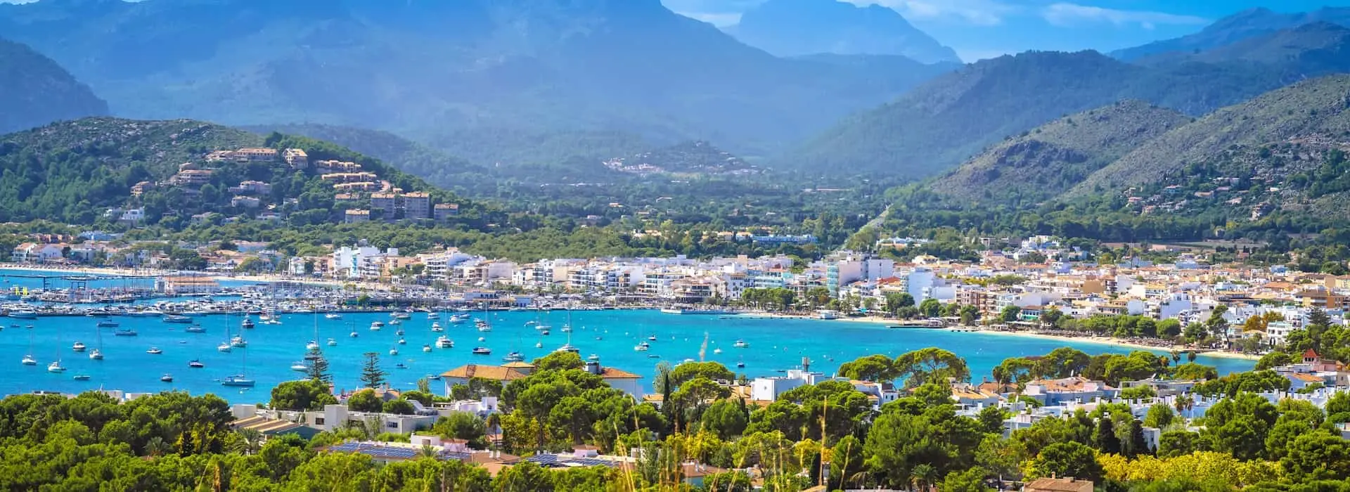 VON POLL IMMOBILIEN – Immobilienmakler Pollensa – Teambild