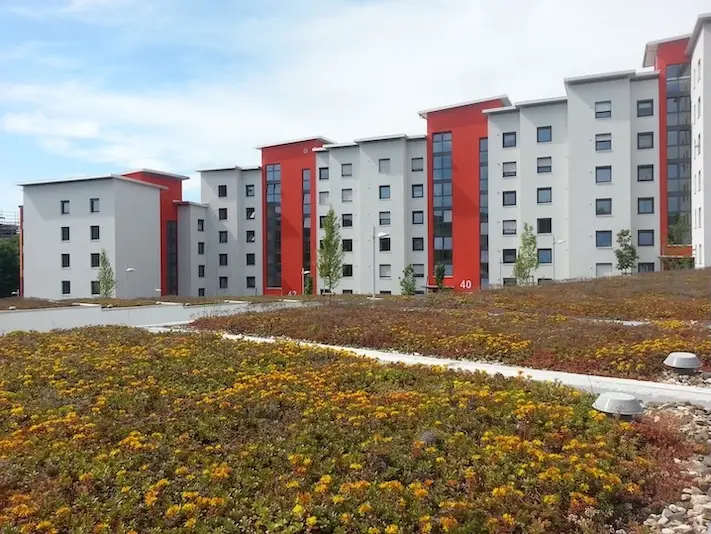 Mehrfamilienhäuser in Kiel
