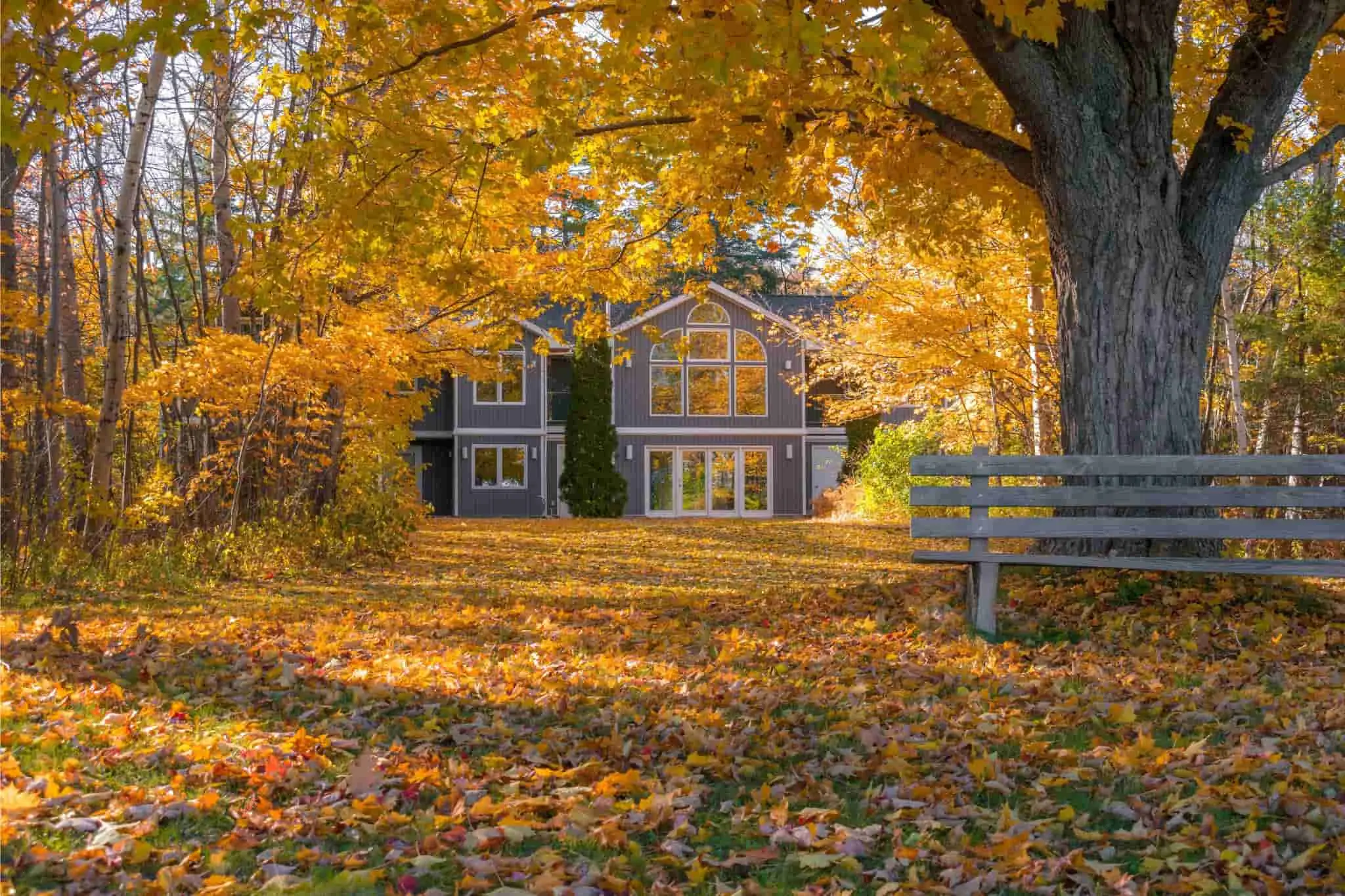 Einfamilienhaus in herbstlicher Kulisse