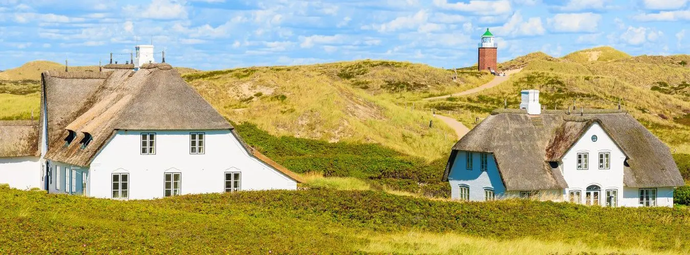 Zwei typisch nordische Häuser vor hügeliger grüner Landschaft