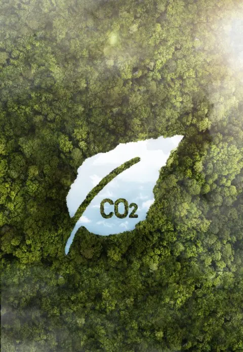 Una hoja con la palabra CO2 escrita en ella.